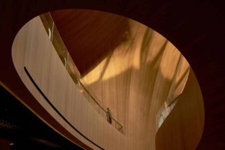 MAD Architects. Palacio de congresos. Formas orgánicas | mad architects roomdiseno11