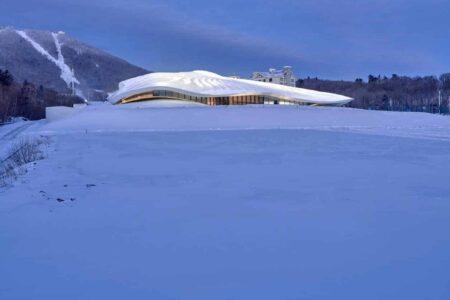 MAD Architects. Palacio de congresos. Formas orgánicas | mad architects roomdiseno12
