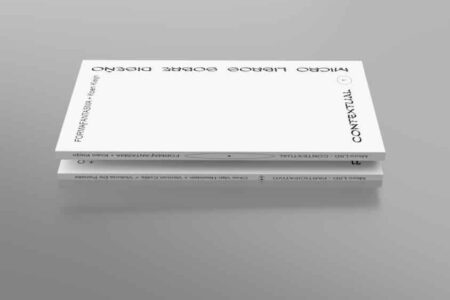 microLSD, proyecto editorial, diseño | mlsd_render_contextualyparticipativo2