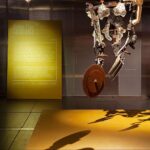 Mañano. Matadero Madrid | manano matadero_madrid roomdiseno5