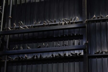 Maurizio Cattelan. Pirelli HangarBicocca | maurizio_cattelan pirelli_hangarbicocca roomdiseno8