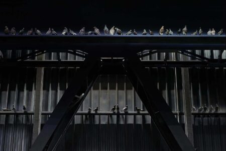 Maurizio Cattelan. Pirelli HangarBicocca | maurizio_cattelan pirelli_hangarbicocca roomdiseno9