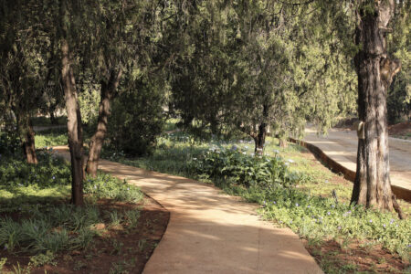 Olafur Eliasson. Studio Other Spaces. Meles Zenawi | meles flower valley 3_vl