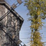 casa molino. restauración arquitectónica. vivienda vertical | michal kucharski roomdiseno21