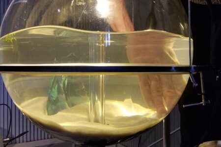 bioarte. Miguel Moreno Mateos. ingeniería y arte | miguel moreno mateos roomdiseno2