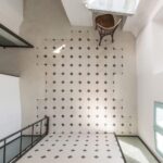 CBO. Mold Architects