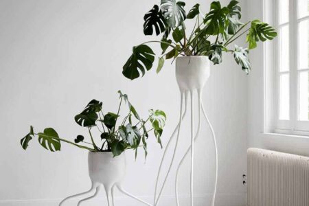 Monstera Magnifica & Monstera Fugiens © Photo Simone van Rees - Stylisme Renske Versluijs. AT Home. 12º Bienal Internacional de Diseño de Saint-Étienne | monstera magnifica monstera fugiens photo simone van rees stylisme renske versluijs