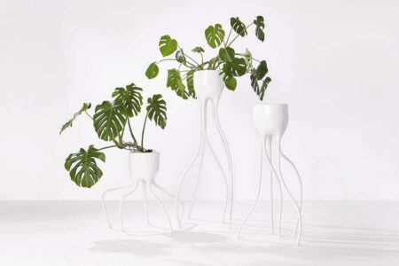 Monstera family. Foto: Rene Van Der Hulst. At Home. 12º Bienal Internacional de Diseño de Saint-Étienne | monstera family renevanderhulst