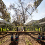 Museo Abierto. Fernanda Canales. Arte y naturaleza | museo_abierto fernanda_canales ph_rafael_gamo roomdiseno1