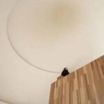 Cabaña en el bosque. forma cónica. ZJJZ Atelier | mushroom8