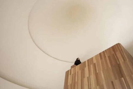 Cabaña en el bosque. forma cónica. ZJJZ Atelier | mushroom8