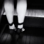 Where Have the Birds Gone. Nicolas St-Pierre. URBAN Photo Awards 2021. Fotografía urbana | nstp where have the birds gone 28