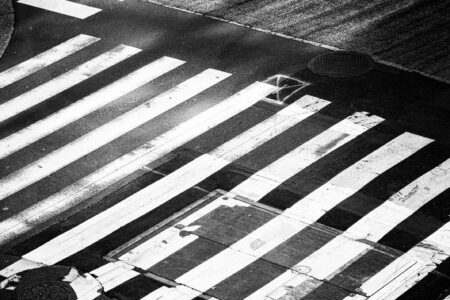 Where Have the Birds Gone. Nicolas St-Pierre. URBAN Photo Awards 2021. Fotografía urbana | nstp where have the birds gone 37