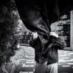 Where Have the Birds Gone. Nicolas St-Pierre. URBAN Photo Awards 2021. Fotografía urbana | nstp where have the birds gone 5