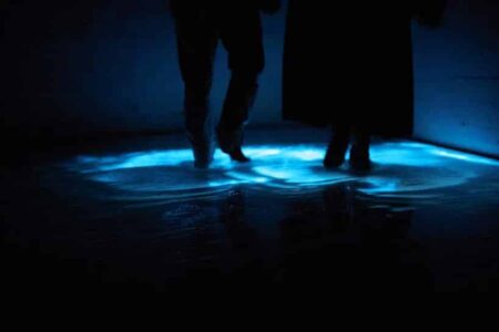Festival de luces. Riad | noor riyadh8