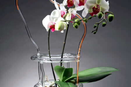Canarie. Design Gallery. Andrea Branzi