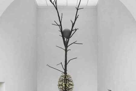 Lece e Sombra. Giuseppe Penone. 2011. Gagosian. Musee Cantonal des Beaux Arts. © Etienne Malapert. Arte y naturaleza | luce e ombra 2011