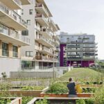 Museo ICO. vivienda colectiva. amaneceres domésticos | proyecto residencial viena c hertha hurnaus