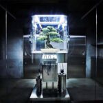 Paludarium. El arte floral de Azuma Makoto | paludarium azuma_makoto roomdiseno