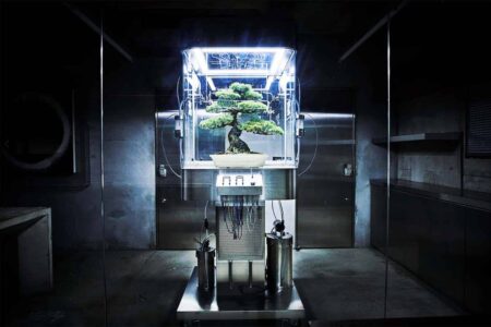 Paludarium. El arte floral de Azuma Makoto | paludarium azuma_makoto roomdiseno