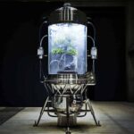 Paludarium. El arte floral de Azuma Makoto | paludarium azuma_makoto roomdiseno2