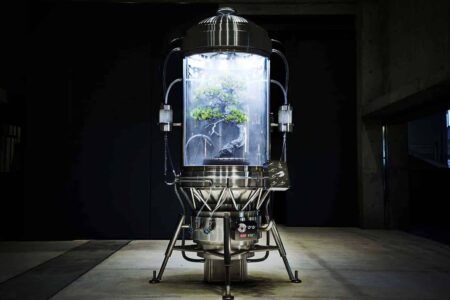 Paludarium. El arte floral de Azuma Makoto | paludarium azuma_makoto roomdiseno2