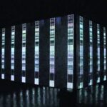 Parallel Head. Ryoichi Kurokawa | parallel head
