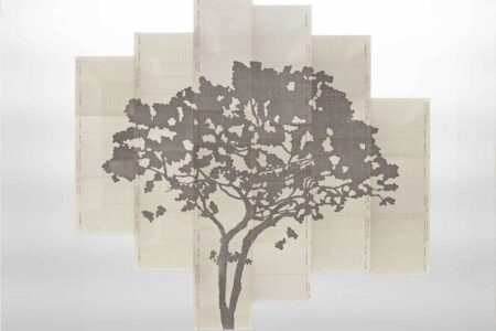 Perimetros. Johanna Calle. Arte y naturaleza | perimetros