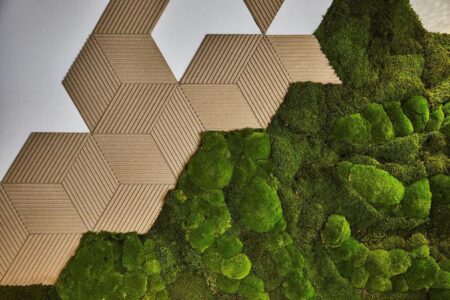 Extreme E. Diseño ecológico. Andina y Tapia | perinat roomdiseno15