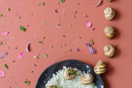Food Design, Studio Appétit | petite friture_studioappetit_creative direction culinary concept7