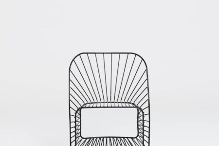 Sillas de diseño | phil_brichetziegler_wildchairs_morgane le gall_2