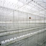 Polytunnel. El Ejido, España. 2013. © Armin Linke. Blind Sensorium. Maradero Madrid | ren_007774_19 001