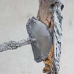Protoplasting Nature. Marcin Rusak | protoplasting_nature marcin_rusak roomdiseno3