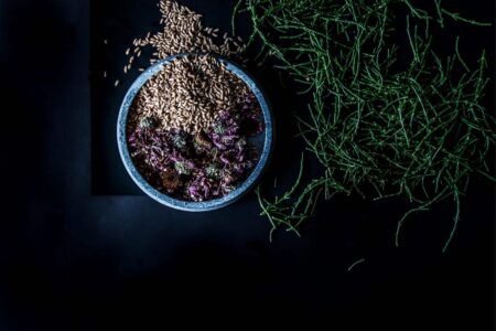 Food Design, Studio Appétit | raw finnish_geo plate by studioappetit