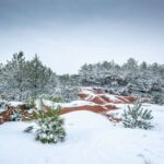 Parque natural Arcilla roja. Duna. Shuishi architects. Red Earth Heritage Park | red earth heritage park10