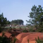 Parque natural Arcilla roja. Duna. Shuishi architects. Red Earth Heritage Park | red earth heritage park8