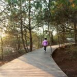 Parque natural Arcilla roja. Duna. Shuishi architects. Red Earth Heritage Park | red earth heritage park9
