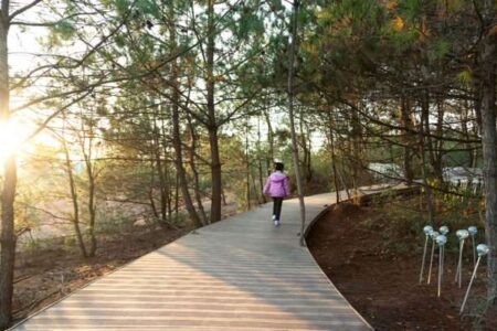 Parque natural Arcilla roja. Duna. Shuishi architects. Red Earth Heritage Park | red earth heritage park9
