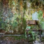 Lugares abandonados. fotografía urbex. Romain Veillon | romain veillon roomdiseno7
