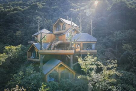 Cabañas en los árboles. Resort. Arquitectura y naturaleza | default