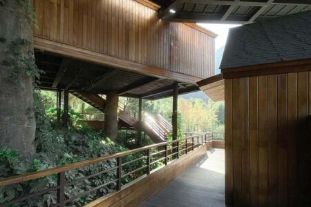 Cabañas en los árboles. Resort. Arquitectura y naturaleza | shembo_resort roomdiseno10