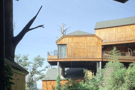 Cabañas en los árboles. Resort. Arquitectura y naturaleza | shembo_resort roomdiseno14