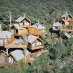 Cabañas en los árboles. Resort. Arquitectura y naturaleza | default 7