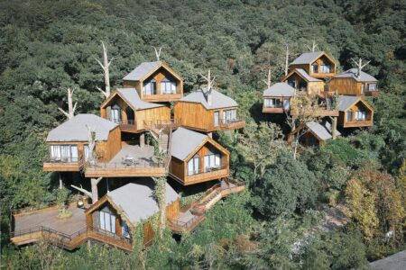 Cabañas en los árboles. Resort. Arquitectura y naturaleza | default 7