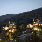 Cabañas en los árboles. Resort. Arquitectura y naturaleza | shembo_resort roomdiseno18