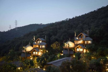 Cabañas en los árboles. Resort. Arquitectura y naturaleza | shembo_resort roomdiseno18