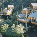 Cabañas en los árboles. Resort. Arquitectura y naturaleza | default 4