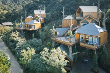 Cabañas en los árboles. Resort. Arquitectura y naturaleza | default 4