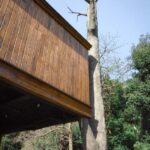 Cabañas en los árboles. Resort. Arquitectura y naturaleza | shembo_resort roomdiseno7