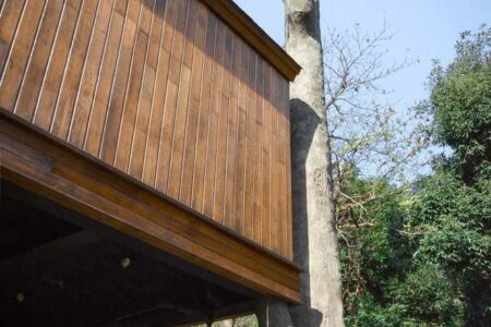 Cabañas en los árboles. Resort. Arquitectura y naturaleza | shembo_resort roomdiseno7